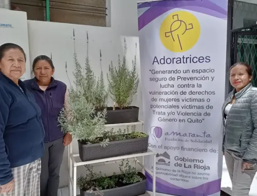 Huertos transversales en las casas de las TTDD y en Casa Adoratrices